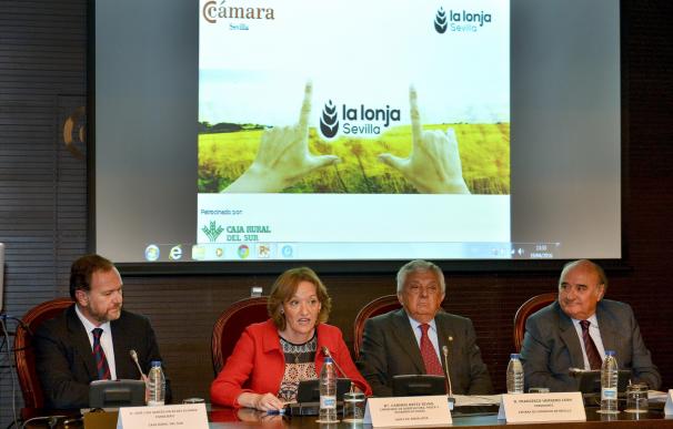 Andalucía exportó en 2015 cereales por valor de más de 159 millones de euros, un 13,6% más que en 2014