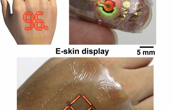 Investigadores desarrollan un material orgánico que mejora los dispositivos de e-piel