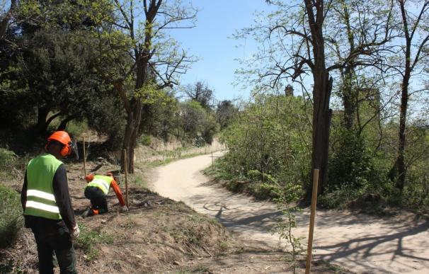 Destinan más de 100.000 euros a recuperar 40 hectáreas del Parc de la Serralada de Marina
