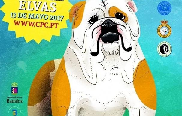 Perros de toda España y Europa se dan cita este sábado en una exposición internacional canina en Badajoz