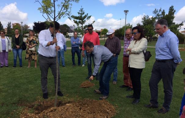Empiezan a plantar 400 árboles para compensar las emisiones del Congreso de Cambio Climático