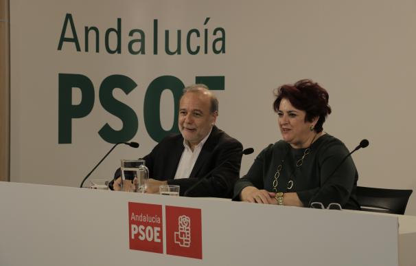 Torres Mora asegura que el PSOE sigue siendo "el único proyecto de la izquierda"