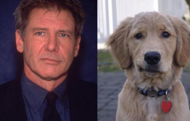 Harrison Ford tiene un doble que es un perro
