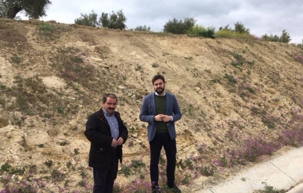 Diputación destina más de 76.000 euros a restaurar paisajísticamente la carretera entre Bedmar y Garcíez