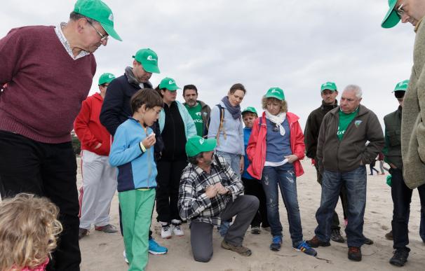 Díaz Tezanos participa en una actividad de PROVOCA para eliminar plantas invasoras de la playa de Merón