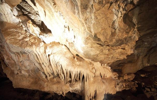 Un proyecto científico internacional rodará un documental sobre las cuevas de Fuentes de León (Badajoz)