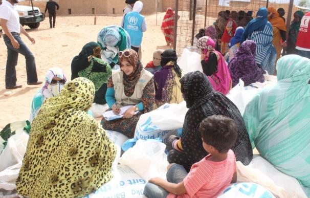 Cinco ONG aragonesas buscan familias para acoger a niños saharauis con el programa 'Vacaciones en paz'