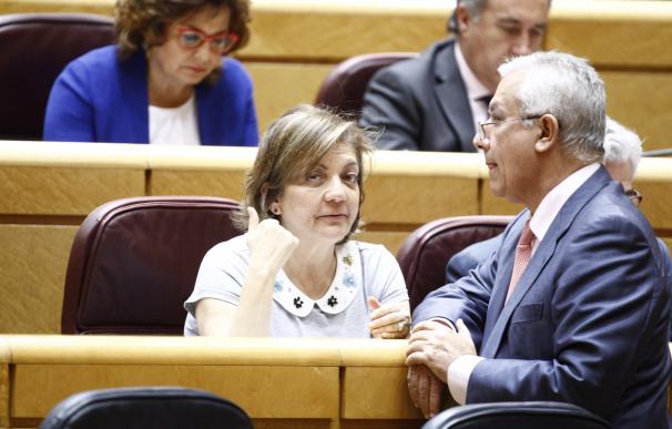 El PP elige la defensa de la unidad de España para el último Pleno de la legislatura en el Senado