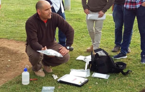 Los técnicos de parques y jardines de Palma se forman para combatir la 'Xylella fastidiosa'