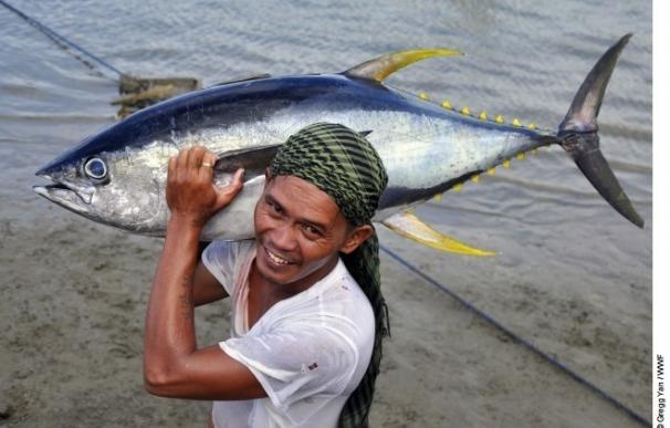 WWF celebra los cambios "notables" y "beneficiosos" de la pesquería del atún en Filipinas, que exporta el 50% a la UE