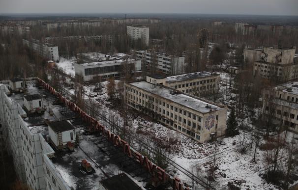 ONG ecologistas piden el cierre de las centrales españolas en el 30º aniversario de Chernóbil para evitar "más víctimas"