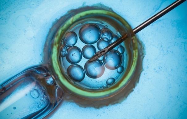 Una técnica de fertilidad de cien años de edad reduce la necesidad de fecundación in vitro