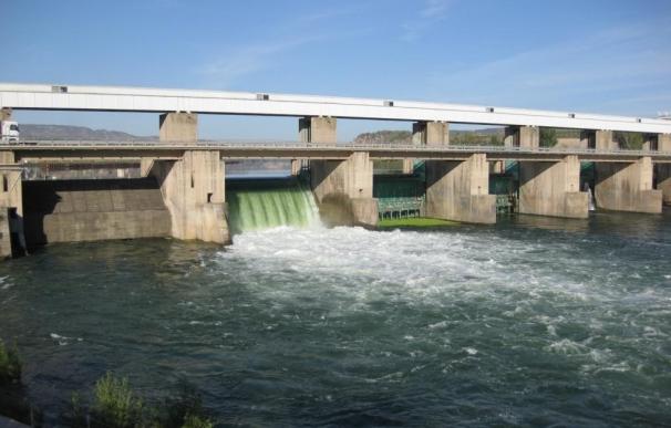 Endesa efectuará un desembalse autorizado del Ebro en Flix (Tarragona) con fines ambientales