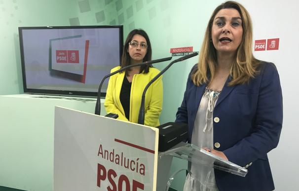 PSOE cifra en 12 millones lo que le cuesta a los jiennenses "la falta de control" del PP sobre las concesionarias