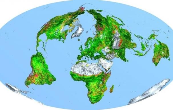 La Tierra es cada vez mas verde desde hace 33 anos, según un estudio