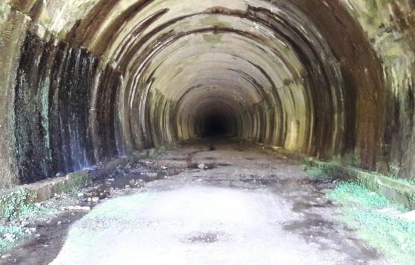 El PRC pide crear un consorcio interadministrativo para impulsar la recuperación del túnel de La Engaña