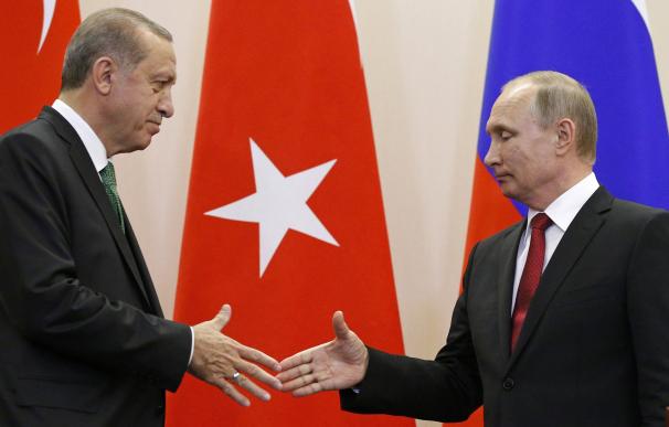 Putin y Erdogan discuten la creación de zonas seguras para garantizar la tregua en Siria