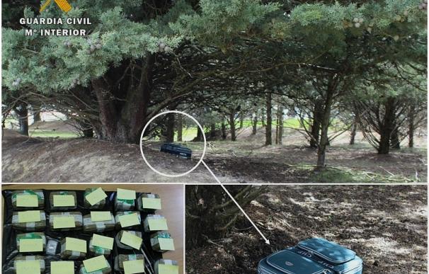 La Guardia Civil decomisa 27 kilos de hachís ocultos en una arboleda próxima a la A-1 en la provincia de Burgos