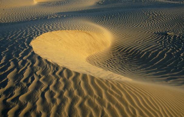EU exige que no se deje desembarcar la arena del Sáhara