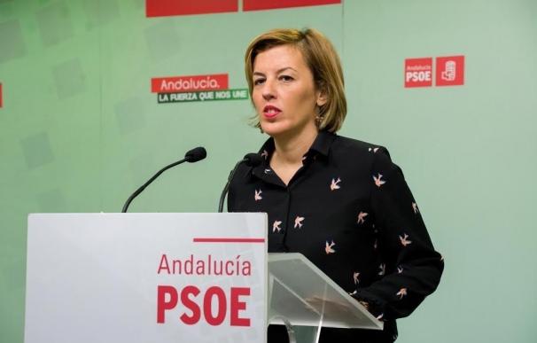 PSOE ve "mala noticia" que el Gobierno "se empeñe en licitar un AVE de segunda" para la provincia