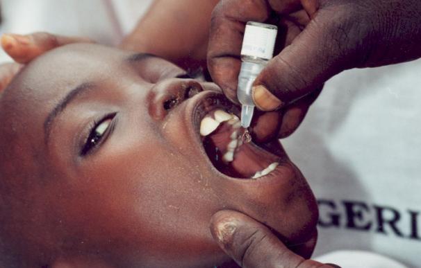 Identifican marcadores inmunes asociados a una posible protección contra la malaria tras recibir la vacuna