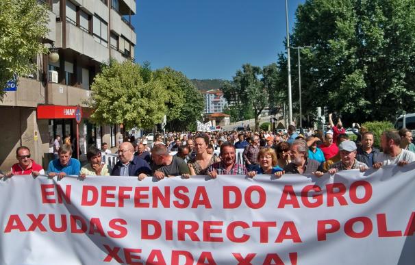 Más de 500 personas se manifiestan en Ourense para pedir ayudas directas para los afectados por las heladas