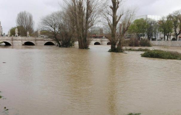 El río Arlanzón inunda paseos y riberas a su paso por Burgos, donde se han registrado filtraciones en algunos edificios
