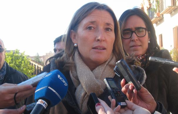 Edil de Urbanismo pide la anulación de los arrestos en Granada por no estar "amparados" en la Ley