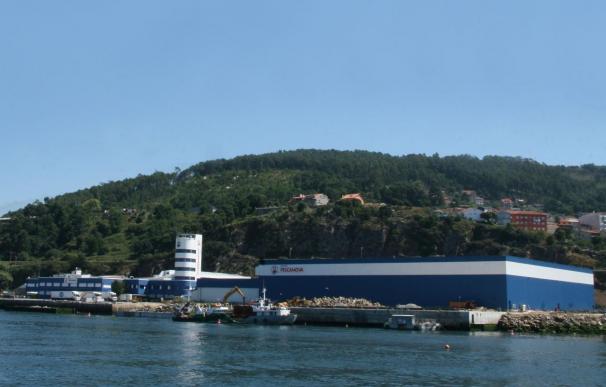 El socio auditor de BDO reitera ante Ruz que en Pescanova existió un fraude institucional
