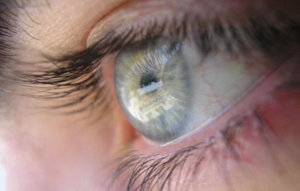 Cerca de 5 millones de españoles están en riesgo de padecer ceguera por enfermedades de la retina