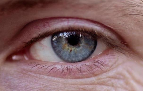 Las células nerviosas y los vasos sanguíneos del ojo "hablan" para prevenir enfermedades