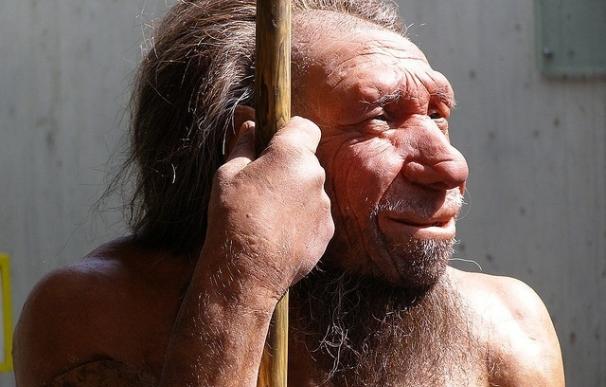 Los neandertales europeos podrían haber sido infectados con enfermedades traídas de África por el Homo Sapiens