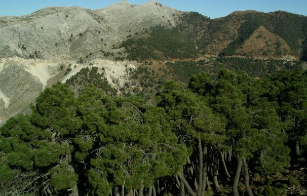 La Diputación respalda la propuesta para que Sierra Bermeja se convierta en Parque Nacional