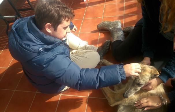 Usuarios de Autismo Sevilla ayudan como voluntarios en una fundación en el cuidado de galgos