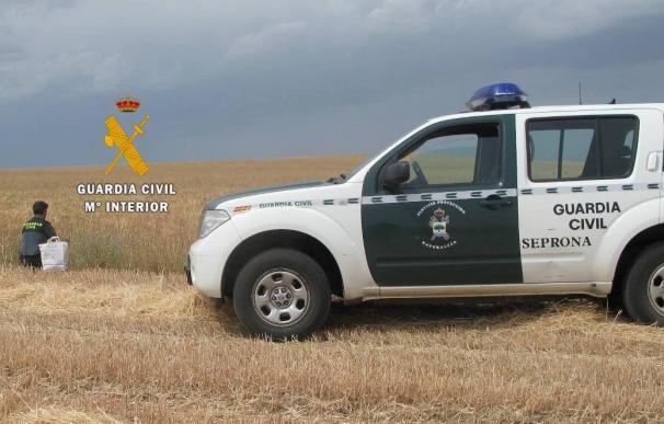 AUGC Badajoz alerta de que la "falta de personal" en la Guardia Civil de la provincia "afecta a la seguridad ciudadana"