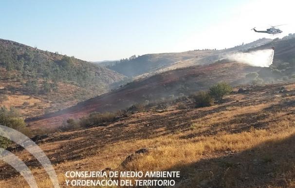 Controlado el incendio en El Cerro del Andévalo que ha calcinado 19 hectáreas de pasto y eucalipto