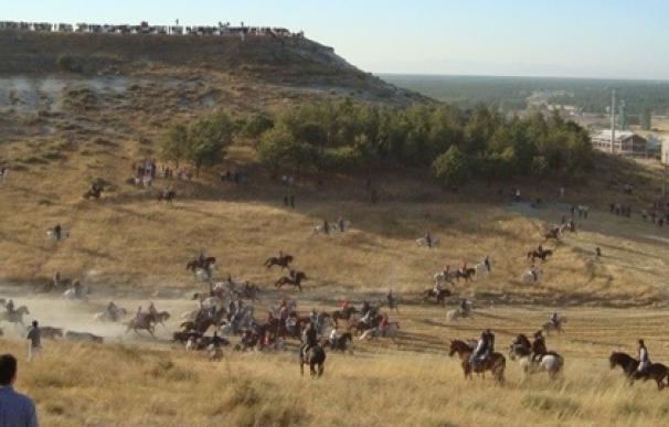 Cuéllar (Segovia) celebra del 28 de agosto al 1 de septiembre los encierros más antiguos de España