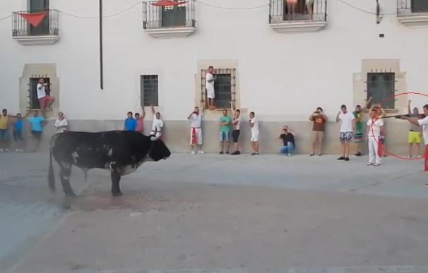 El toro Guapetón murió de un disparo de escopeta