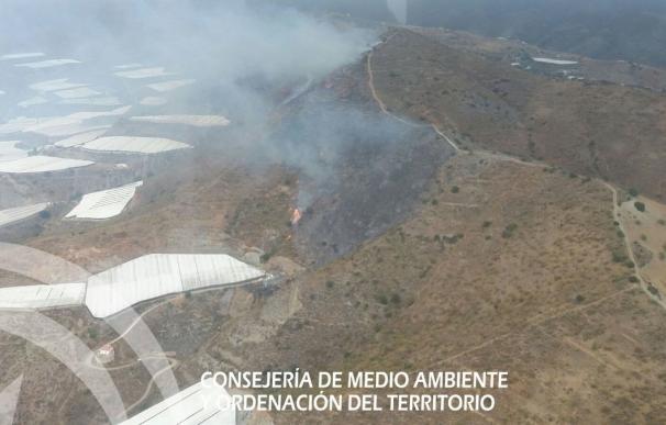 Efectivos del Infoca trabajan en la extinción de un incendio forestal en Gualchos