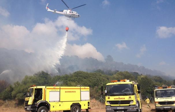 El incendio de Los Barrios afecta a unas 4,5 de monte bajo y eucalipto