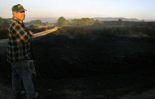 Las hectáreas quemadas desde el lunes superan las 5.700 y 9 fuegos siguen descontrolados, cuatro cerca de casas