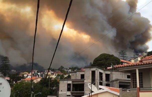 Los incendios en Madeira dejan cuatro muertos y más de 55 millones de pérdidas