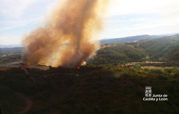 Controladas las llamas en Toreno (León), que han calcinado 25 hectáreas de brezo