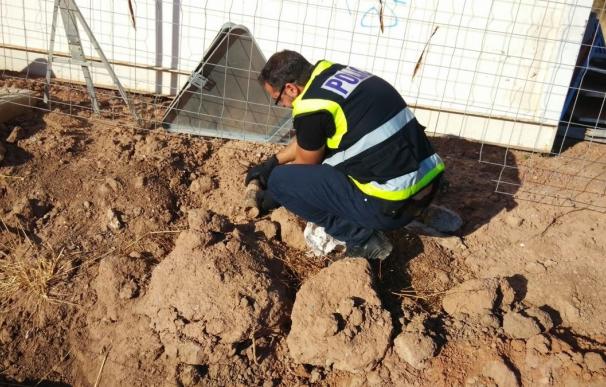 La Policía Nacional retira un proyectil de la Guerra Civil localizado por un albañil en Sagunto