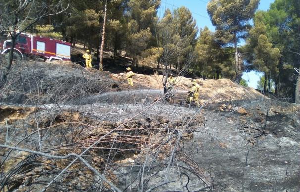 Extinguido el incendio en Nuévalos, que calcina 8,3 hectáreas
