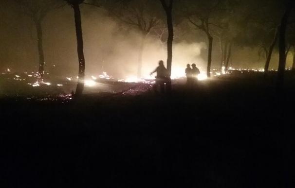 Desalojadas más de 300 personas por el incendio forestal de Moguer, contra el que se suma la UME