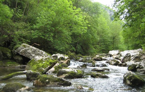 Cantabria destaca el programa LIFE+ como "dinamizador" medioambiental de la región