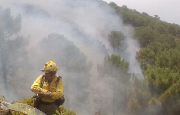 El Infoca destina 53 bomberos y seis vehículos en el incendio forestal de Benahavís