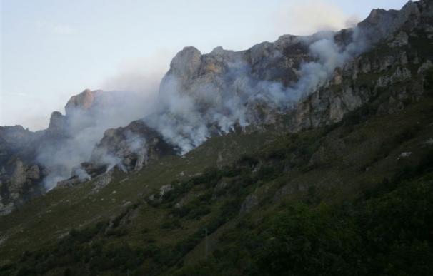 El Defensor recurre ante el TC la Ley de Montes asturiana por rebajar la protección de los montes quemados