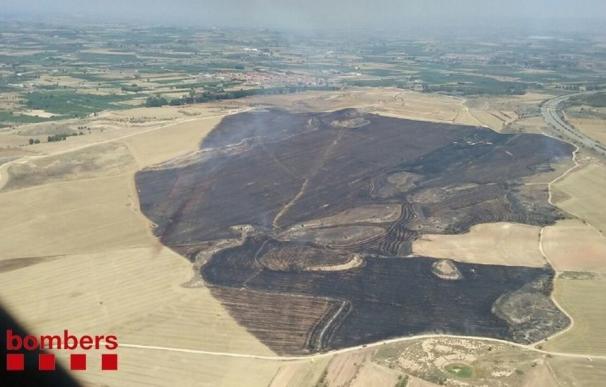 Estabilizan un incendio en un campo de Artesa de Lleida que quema 70 hectáreas